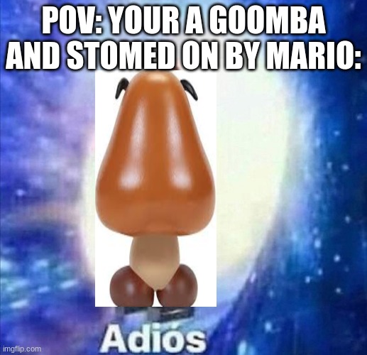 somthing random | POV: YOUR A GOOMBA AND STOMED ON BY MARIO: | image tagged in adios,super mario,goombas,nintendo | made w/ Imgflip meme maker