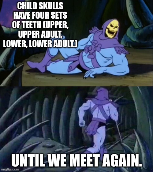 Skeletor disturbing facts | CHILD SKULLS HAVE FOUR SETS OF TEETH (UPPER, UPPER ADULT, LOWER, LOWER ADULT.); UNTIL WE MEET AGAIN. | image tagged in skeletor disturbing facts | made w/ Imgflip meme maker