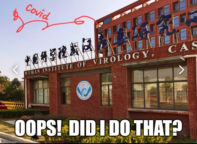 Covid  china wuhan | OOPS!  DID I DO THAT? | image tagged in covid 19 | made w/ Imgflip meme maker