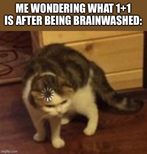 Seriously though | ME WONDERING WHAT 1+1 IS AFTER BEING BRAINWASHED: | image tagged in loading cat | made w/ Imgflip meme maker