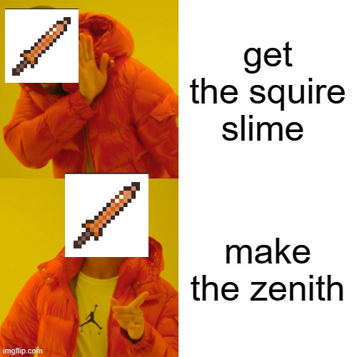 Drake Hotline Bling Meme | get the squire slime; make the zenith | image tagged in memes,drake hotline bling | made w/ Imgflip meme maker