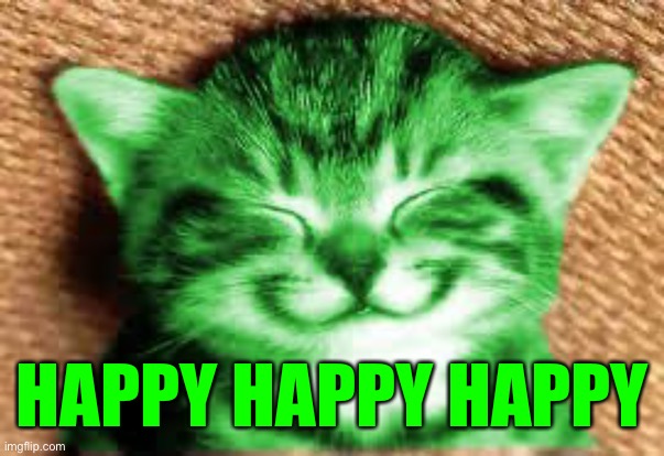 happy RayCat | HAPPY HAPPY HAPPY | image tagged in happy raycat | made w/ Imgflip meme maker