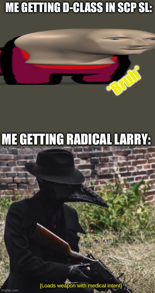 D-boi vs Radical Larry reaction | ME GETTING D-CLASS IN SCP SL:; *Bruh*; ME GETTING RADICAL LARRY: | image tagged in loads weapon with medical intent | made w/ Imgflip meme maker