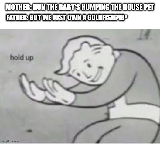 Hol up | MOTHER: HUN THE BABY'S HUMPING THE HOUSE PET; FATHER: BUT WE JUST OWN A GOLDFISH?!8⁸ | image tagged in hol up | made w/ Imgflip meme maker