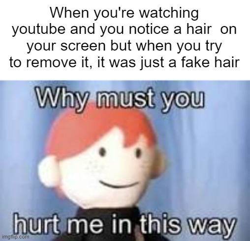 pure pain | When you're watching youtube and you notice a hair  on your screen but when you try to remove it, it was just a fake hair | image tagged in why must you hurt me in this way,memes,true story,relatable,relatable memes,hair | made w/ Imgflip meme maker