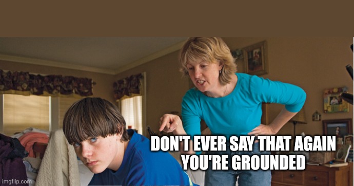 Angry Mom | DON'T EVER SAY THAT AGAIN 
YOU'RE GROUNDED | image tagged in angry mom | made w/ Imgflip meme maker