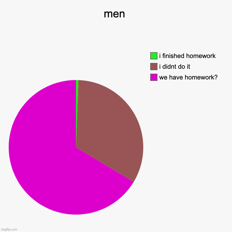 lol | men | we have homework?, i didnt do it, i finished homework | image tagged in charts,pie charts | made w/ Imgflip chart maker