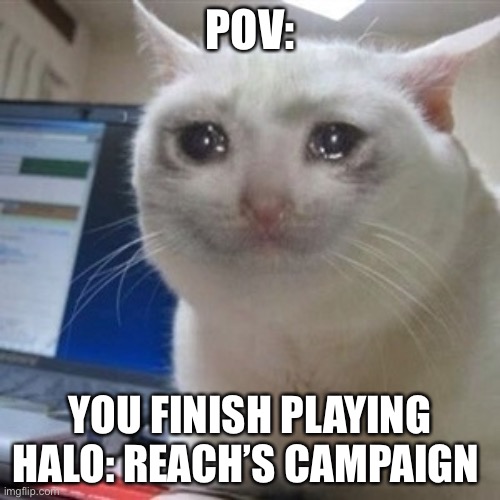 If you know what I mean well…. R.I.P. our fallen Spartans | POV:; YOU FINISH PLAYING HALO: REACH’S CAMPAIGN | image tagged in crying cat | made w/ Imgflip meme maker
