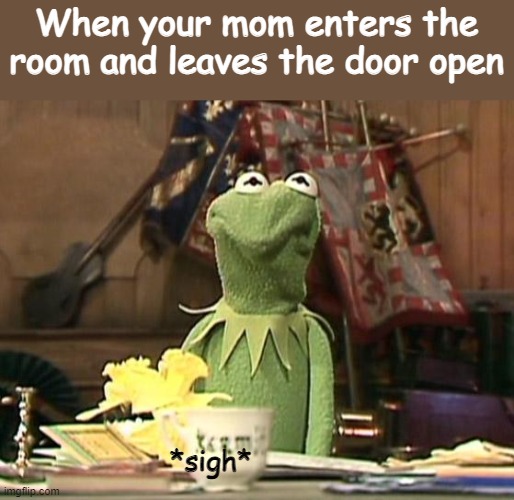 wish i had the power to close the door without standing up | When your mom enters the room and leaves the door open; *sigh* | image tagged in annoyed kermit,open door | made w/ Imgflip meme maker