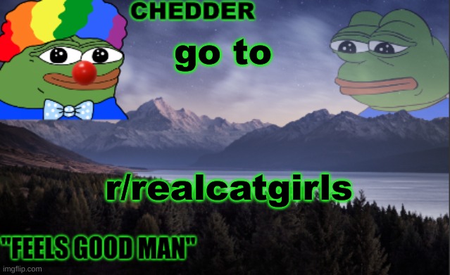 trust me bro. | go to; r/realcatgirls | image tagged in pepe the frog- made bt chedder | made w/ Imgflip meme maker
