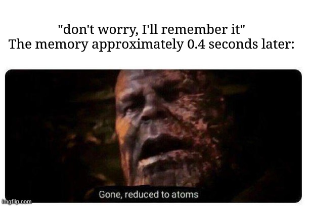 my brain already forgot the thing | "don't worry, I'll remember it" 
The memory approximately 0.4 seconds later: | image tagged in gone reduced to atoms | made w/ Imgflip meme maker