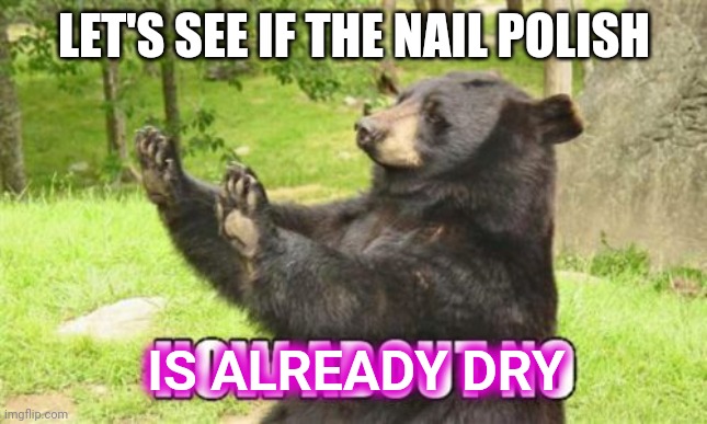 How About No Bear | LET'S SEE IF THE NAIL POLISH; IS ALREADY DRY | image tagged in memes,how about no bear | made w/ Imgflip meme maker