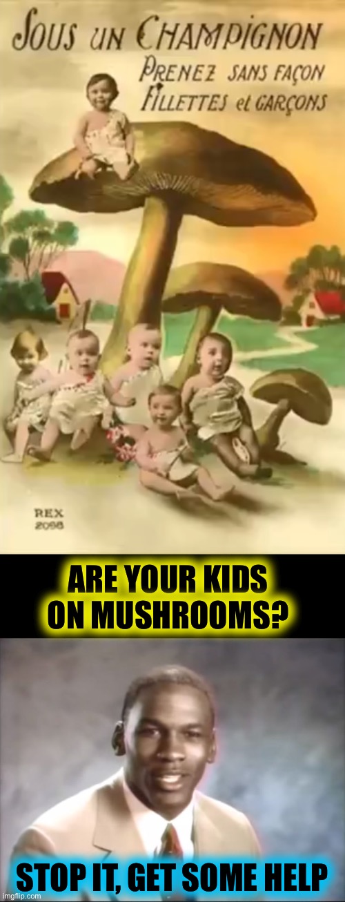 ARE YOUR KIDS ON MUSHROOMS? STOP IT, GET SOME HELP | image tagged in stop it get some help | made w/ Imgflip meme maker