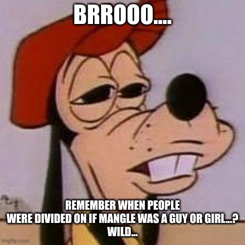 *puff* | BRROOO.... REMEMBER WHEN PEOPLE WERE DIVIDED ON IF MANGLE WAS A GUY OR GIRL...?
WILD... | image tagged in high goofy,puf | made w/ Imgflip meme maker