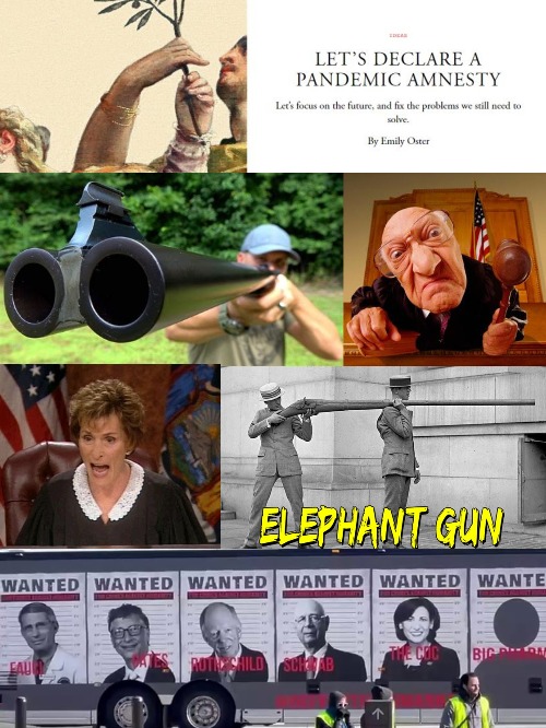 An Elephant-Gun Owner Never Forgets (Or Forgives) | image tagged in covid agendas,covid amnesty,covid reckoning,government tyranny,msm lies,corporate capture | made w/ Imgflip meme maker