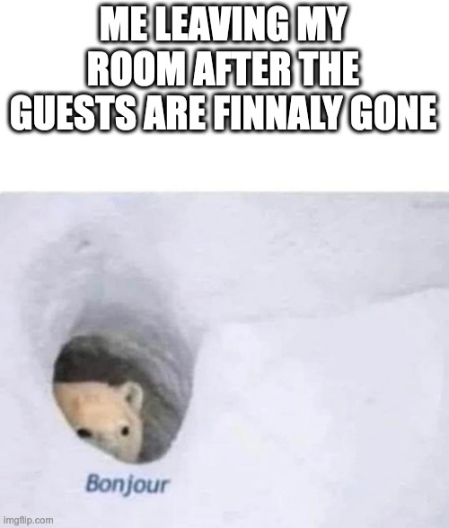 i cant be the only one that does this | ME LEAVING MY ROOM AFTER THE GUESTS ARE FINNALY GONE | image tagged in bonjour | made w/ Imgflip meme maker