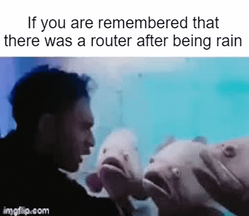 Routers when you are talking about a rain router was red - Imgflip