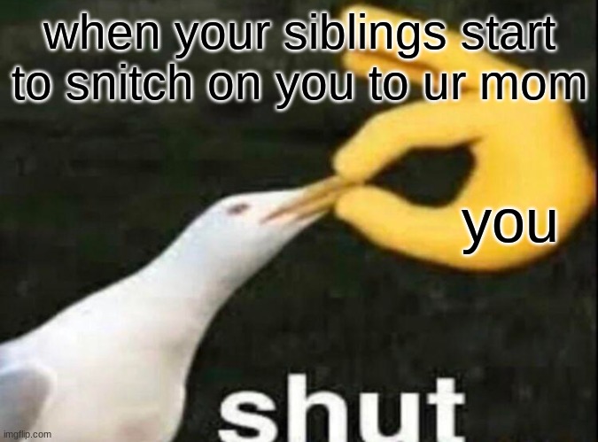 upvote if you have a sibling | when your siblings start to snitch on you to ur mom; you | image tagged in shut | made w/ Imgflip meme maker