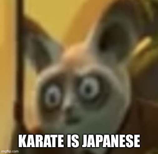 Master Shifu Stares | KARATE IS JAPANESE | image tagged in master shifu stares | made w/ Imgflip meme maker
