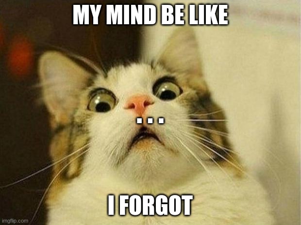 Scared Cat | MY MIND BE LIKE; . . . I FORGOT | image tagged in memes,scared cat | made w/ Imgflip meme maker