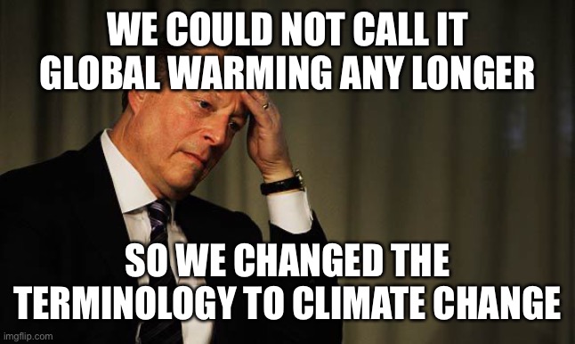 Al Gore Facepalm | WE COULD NOT CALL IT GLOBAL WARMING ANY LONGER SO WE CHANGED THE TERMINOLOGY TO CLIMATE CHANGE | image tagged in al gore facepalm | made w/ Imgflip meme maker