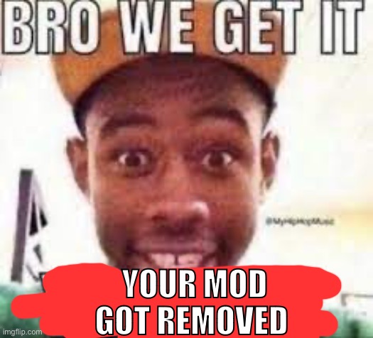 Bro we get it your gay | YOUR MOD GOT REMOVED | image tagged in bro we get it your gay | made w/ Imgflip meme maker