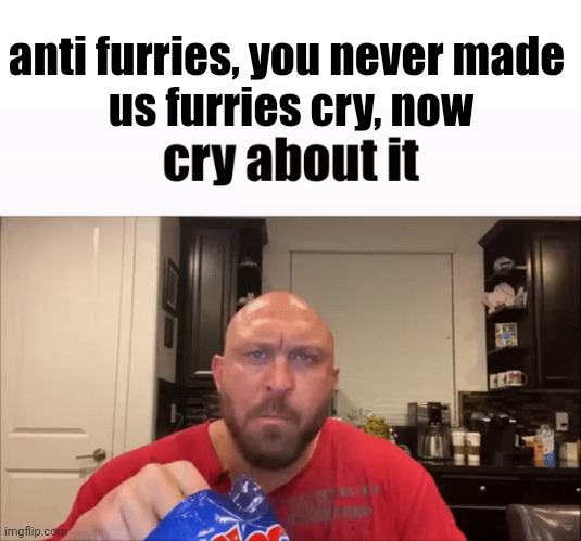 cry about it | anti furries, you never made 
us furries cry, now | image tagged in cry about it | made w/ Imgflip meme maker