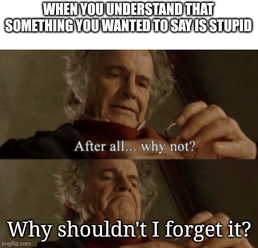 After all.. why not? | WHEN YOU UNDERSTAND THAT SOMETHING YOU WANTED TO SAY IS STUPID; Why shouldn't I forget it? | image tagged in after all why not | made w/ Imgflip meme maker