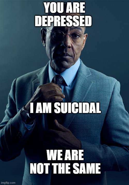 Gus Fring we are not the same | YOU ARE DEPRESSED; I AM SUICIDAL; WE ARE NOT THE SAME | image tagged in gus fring we are not the same | made w/ Imgflip meme maker