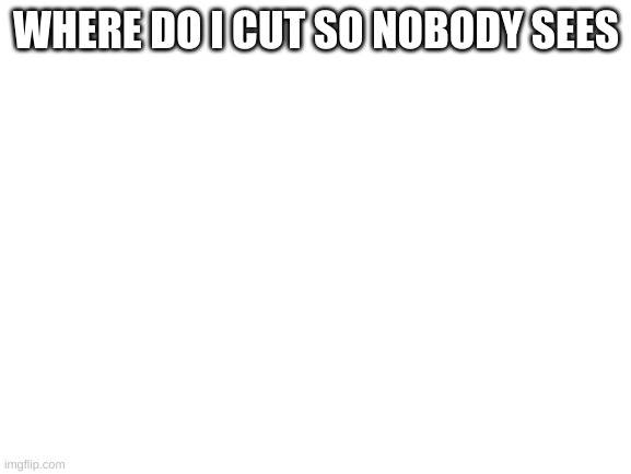 Blank White Template | WHERE DO I CUT SO NOBODY SEES | image tagged in blank white template | made w/ Imgflip meme maker