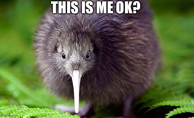kiwi | THIS IS ME OK? | image tagged in kiwi | made w/ Imgflip meme maker