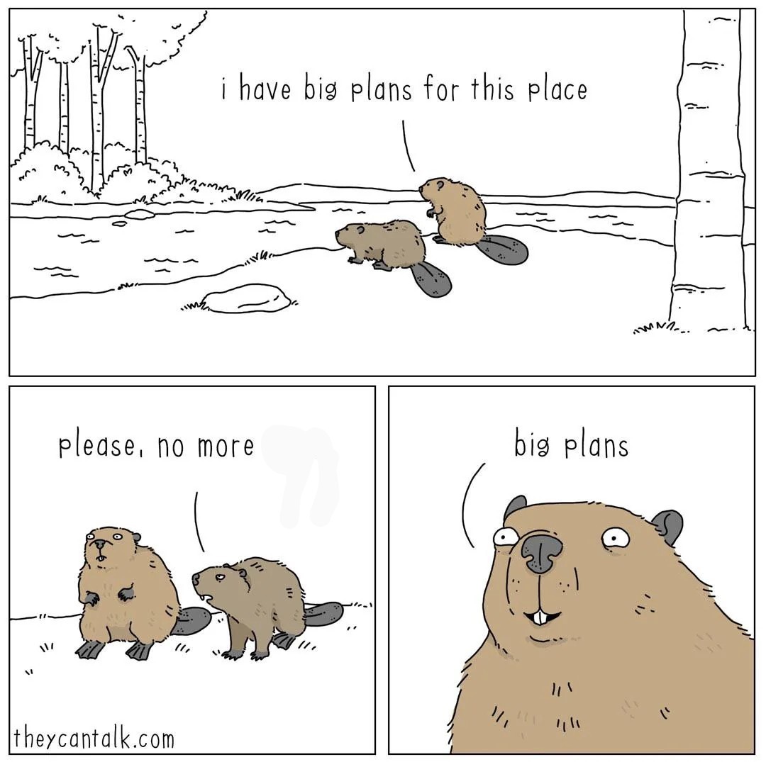 Big Plan Beaver Blank Meme Template