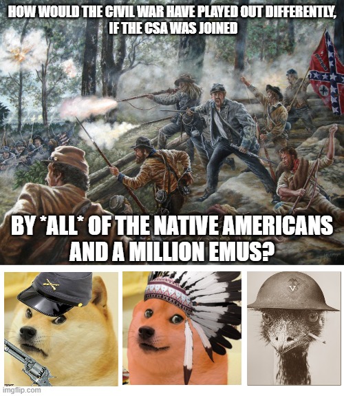 Well History Buffs, let's hear your expertise! | HOW WOULD THE CIVIL WAR HAVE PLAYED OUT DIFFERENTLY,
 IF THE CSA WAS JOINED; BY *ALL* OF THE NATIVE AMERICANS 
AND A MILLION EMUS? | image tagged in stand at the angle,civil war,confederate,native american,emu,doge | made w/ Imgflip meme maker