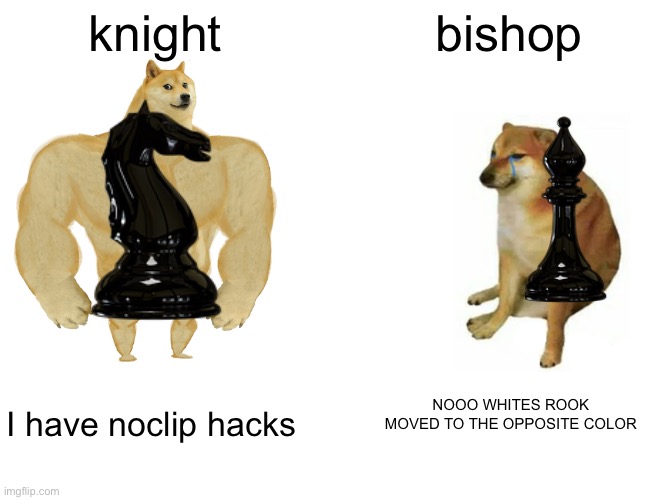 Buff Doge vs. Cheems | knight; bishop; NOOO WHITES ROOK MOVED TO THE OPPOSITE COLOR; I have noclip hacks | image tagged in memes,buff doge vs cheems | made w/ Imgflip meme maker