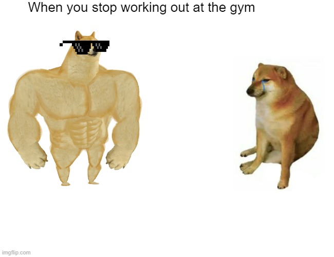 Buff Doge vs. Cheems | When you stop working out at the gym | image tagged in memes,buff doge vs cheems | made w/ Imgflip meme maker