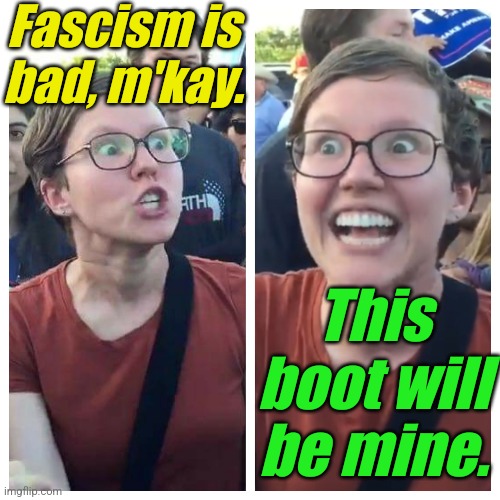 'liberal' Triggered and Elated | Fascism is bad, m'kay. This boot will be mine. | image tagged in 'liberal' triggered and elated | made w/ Imgflip meme maker