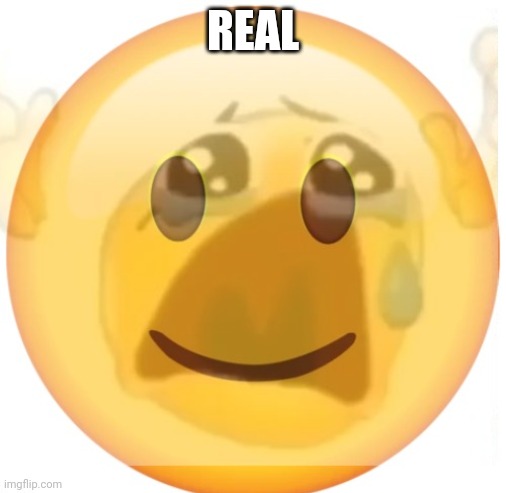 happy emoji on the outside, but crying on the inside | REAL | image tagged in happy emoji on the outside but crying on the inside | made w/ Imgflip meme maker