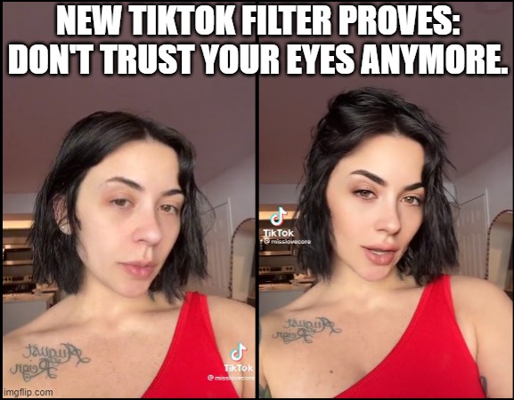 Barbiefier in action | NEW TIKTOK FILTER PROVES: DON'T TRUST YOUR EYES ANYMORE. | image tagged in tiktok,barbie,filter,ai,deepfake | made w/ Imgflip meme maker