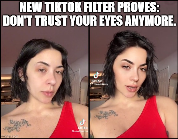 Meme Maker TikTok Filter