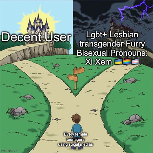 Two Paths | Lgbt+ Lesbian transgender Furry Bisexual Pronouns: Xi Xem 🇺🇦🏳️‍🌈🏳️‍⚧️; Decent User; Every female teenagers using social medias | image tagged in two paths | made w/ Imgflip meme maker