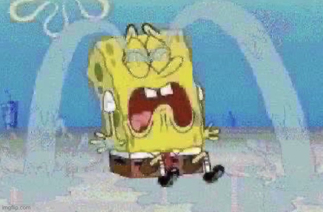 image tagged in spong cri | made w/ Imgflip meme maker