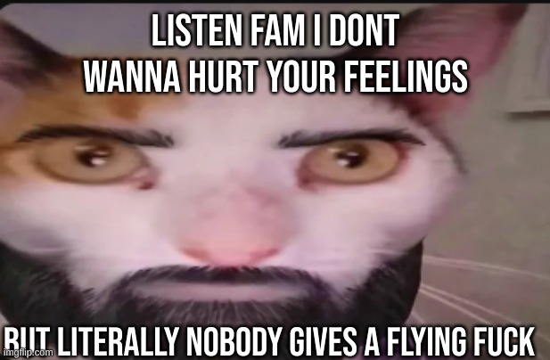 Gigacat | listen fam i dont wanna hurt your feelings but literally nobody gives a flying fuck | image tagged in gigacat | made w/ Imgflip meme maker