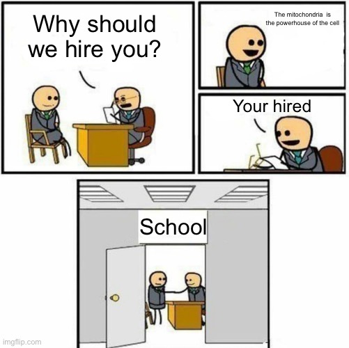 You're hired | The mitochondria  is the powerhouse of the cell; Why should we hire you? Your hired; School | image tagged in you're hired | made w/ Imgflip meme maker