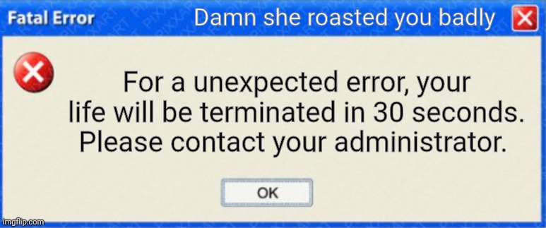 windows fatal error BLANK | Damn she roasted you badly For a unexpected error, your life will be terminated in 30 seconds. Please contact your administrator. | image tagged in windows fatal error blank | made w/ Imgflip meme maker