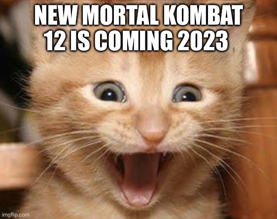 Excited Cat Meme | NEW MORTAL KOMBAT 12 IS COMING 2023 | image tagged in memes,excited cat | made w/ Imgflip meme maker