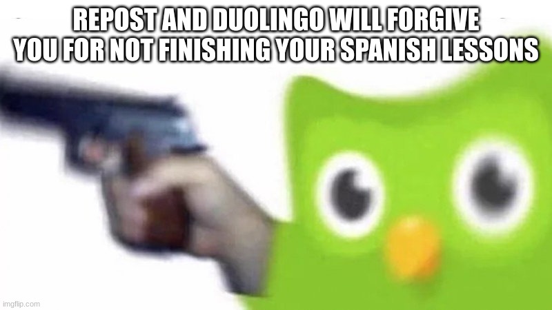 repost now | REPOST AND DUOLINGO WILL FORGIVE YOU FOR NOT FINISHING YOUR SPANISH LESSONS | image tagged in duolingo gun,duolingo,spanish,oh wow are you actually reading these tags | made w/ Imgflip meme maker