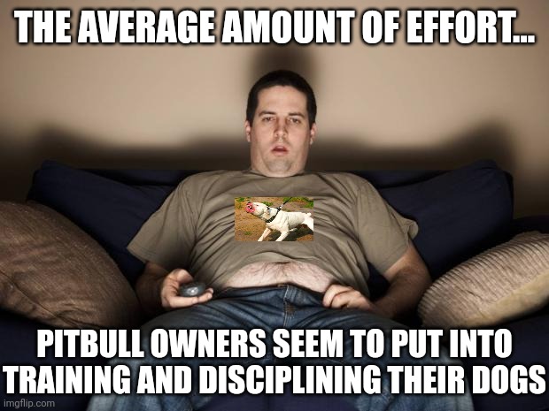 Anyone else tired of these stories of completely untrained pitbulls attacking everything in site? Including kids? | THE AVERAGE AMOUNT OF EFFORT... PITBULL OWNERS SEEM TO PUT INTO TRAINING AND DISCIPLINING THEIR DOGS | image tagged in lazy fat guy on the couch,pitbulls,children,training,stupid people,discipline | made w/ Imgflip meme maker