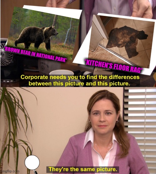 -Under government's care! | *BROWN BEAR IN NATIONAL PARK*; *KITCHEN'S FLOOR RAG* | image tagged in memes,they're the same picture,confession bear,national security,hell's kitchen,clothes | made w/ Imgflip meme maker