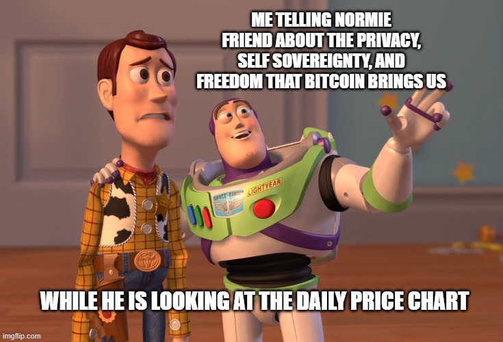 Orangepilling friends | ME TELLING NORMIE FRIEND ABOUT THE PRIVACY, SELF SOVEREIGNTY, AND FREEDOM THAT BITCOIN BRINGS US; WHILE HE IS LOOKING AT THE DAILY PRICE CHART | image tagged in memes,x x everywhere | made w/ Imgflip meme maker