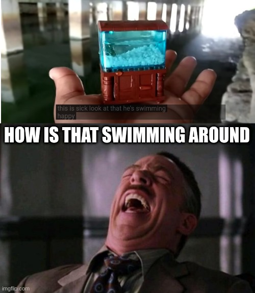 That isn't even enough space to swim lol | HOW IS THAT SWIMMING AROUND | image tagged in spider man boss,why,aquarium | made w/ Imgflip meme maker